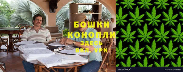 сатива Покровск