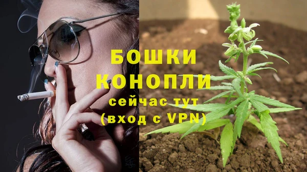 индика Покров