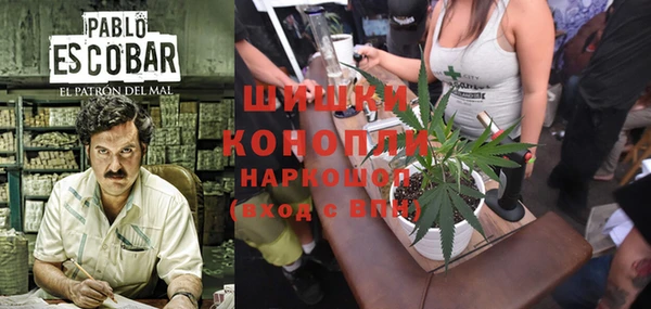 индика Покров