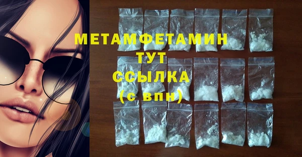 индика Покров