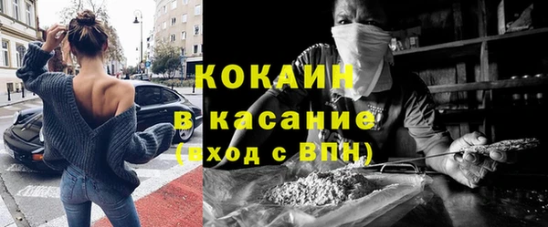 индика Покров
