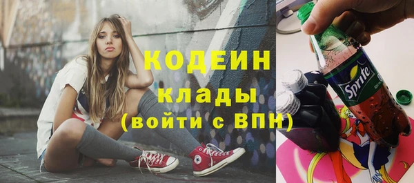 индика Покров