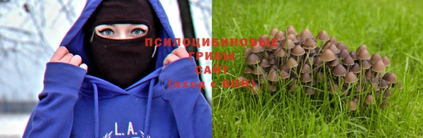 индика Покров