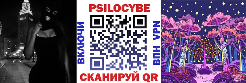 Галлюциногенные грибы Cubensis  Чкаловск 